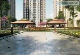 Live a royal life in Ace Divino Noida 9250002243