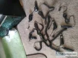 VARIETY OF CELLULAR CHARGERS