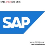 SAP Consulting Company Houston
