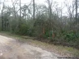 Lot near HWY 105-FM 1314-over 30000 sq.ft.