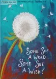 Sacramento Studio 41 Dandelion  Happy Monday  Only 30