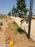 Best Investment For Real Estate