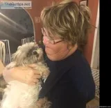 Boarding or sitting small dogs in our home