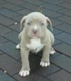 Beautiful baby blue