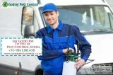 Hire Pest Control Delhi Team  91-9811381458