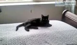 Hi my name is Luna