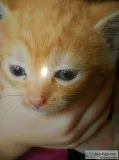 She s a baby