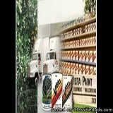 Vista Paint