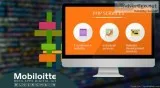Need a php developer who can helop you in web development