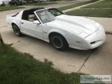 91 firebird