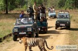 Jim Corbett Uttarakhand - Jeep Safari Tour Packages