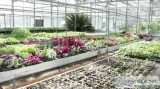 Bsc Horticulture  Dolphinlifesciences