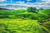 Want to Experience the Mountain Hills. Call us