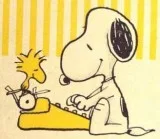 Need an Online Business Writer