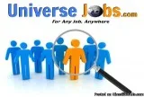 Release Engineer