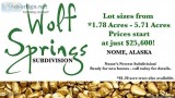 LOTS AVAILABLE IN NOME