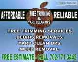 MONTHLY YARD MAINTENANCE  YARD CLEAN UPS
