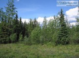18 ACRES FOR SALE IN TOK