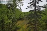 TWO LOTS BEING SOLD TOGETHER IN BIG LAKE
