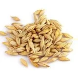 Barley Malt Extracts Health Benefits