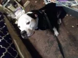 Sweet boy