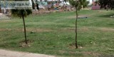 Plots In Poonamallee