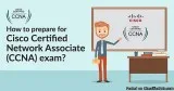 You will never believe bizarre truth of CCNA certification