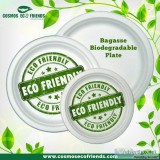 Bagasse Disposable Products - Cosmos Eco Friends
