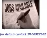 work at home jobs for all students  homemakers.