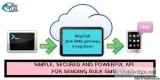 The Basics of PHP SMS Gateway Integration