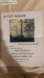 Tree Work and Removal