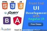 UI Developer Training in Madhapur Hyderabad with Project