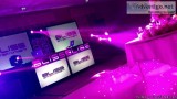 Professional Asian DJ in London and Birmingham