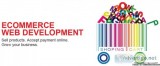 Ecommerce web designing company in india