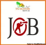 Urgently Required Candidates For Online Marketing Work