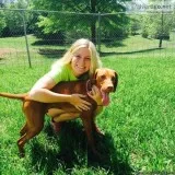 Tuscarora s Country Club for Dogs