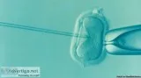 Are you looking for IVF specialist in Delhi 