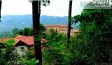 Have a luxurious stay at the Best resorts in Kasauli
