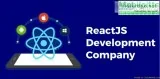 reactjs development company in india