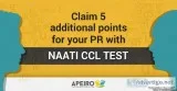 Claim 5 additional points for your PR with NAATI CCL Test