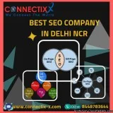 The Best SEO Company In Delhi NCR
