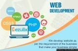 Top 5 Website Development Company in Delhi