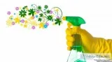 Nature s Favorite Cleaning Service