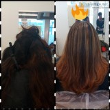 Freelance Hairstylist