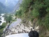 Do Dham Yatra from Delhi YAMUNOTRI GANGOTRI