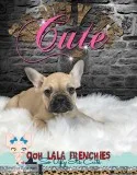 French Bulldog Puppy - Ellie - SoUglyItsCute