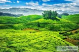 Enjoy the Wildlife Tour at Munnar Kerala.