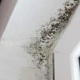 A Hold On Mold LLC