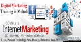 Best Digital Marketing Training in Chandigarh