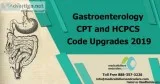 Gastroenterology CPT and HCPCS Code Upgrades 2019